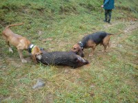 /album/fotogaleria/dsc00008-copia-jpg/